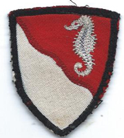 ASMIC WWII 36th Engineer Brigade Theatre Made Patch