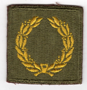 WWII Meritorious Unit Citation Patch
