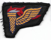 Vietnam Pathfinder Qualification Wing Patch