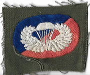 Vietnam 173rd Airborne Brigade Oval & Wing