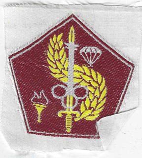ARVN / South Vietnamese Army Quartermaster School Directorate Patch