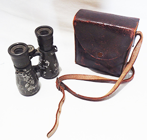 Imperial German Binoculars and Case
