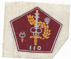 South Vietnamese Army 110th Airborne Quartermaster Directorate Patch