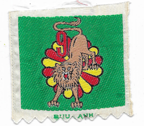 ARVN / South Vietnamese Army 90th Headquarters Company 9th Airborne Battalion Patch