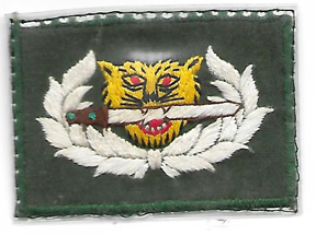 Vietnam Era Thailand Army Ranger Qualification Patch