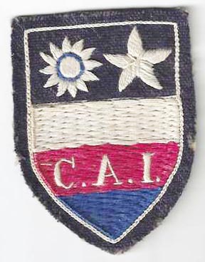 WWII Chinese Army In India Patch