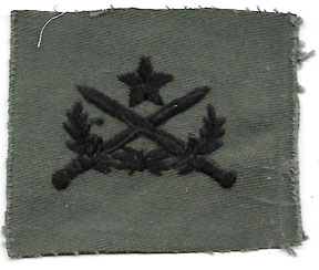 ARVN / South Vietnamese Army BDQ / Ranger Qualification Patch