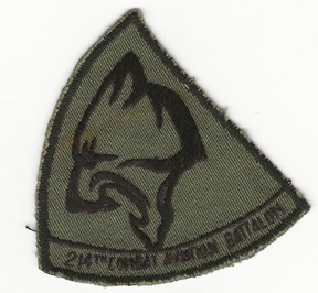 Vietnam 214th Combat Aviation Battalion Pocket Patch
