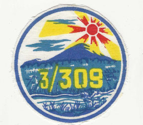 ARVN / South Vietnamese 3rd Platoon 309th Popular Forces Company Patch