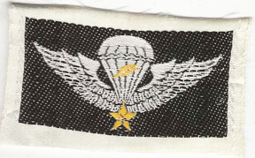 ARVN / South Vietnamese Army Pattern Master Airborne Jump Wing