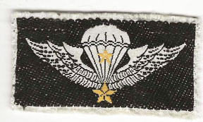 ARVN / South Vietnamese Army Pattern Senior Airborne Jump Wing