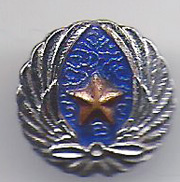 WWII Japanese Army Aviation Association Veterans Badge