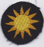 40th Division Cap Patch