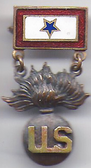 Ordnance Corps Son In Service Pin