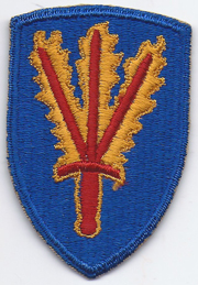 166th Regimental Combat Team Patch