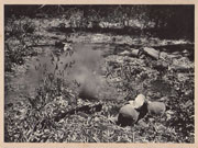 WWII Japanese Propaganda Photo Of Fighting In The Philippines