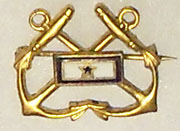 Naval Son In Service Pin