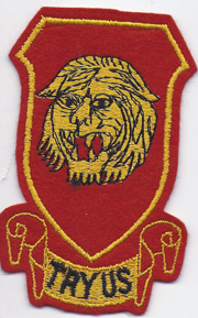 WWII 141st Field Artillery Battalion Patch