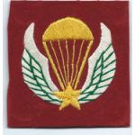 Vietnam LLDB Beret Patch