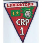 Vietnam Camp Strike Force Uncut Sheet Of Twelve PatchesCIDG / Darlac Province PatchCombined Recon Platoon One Task Force 2 CCC SOG Pocket Patch
