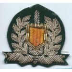 Nationalists Police Bullion Beret Badge SVN ARVN