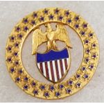 Prototype Aide To President Insignia