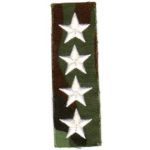 ARVN Ranger General Collar Insignia SVN