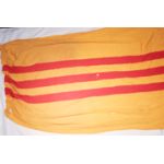 Early South Vietnamese National Flag