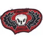 Recon Team Anaconda Pocket Patch Vietnam