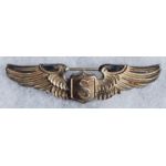 WWII Army Air Forces Service Pilot Wing