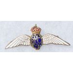 WWI - 1920's RFC / Royal Flying Corps Enameled Wing