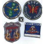 US Navy Vietnam Era Japanese Made Patch Group