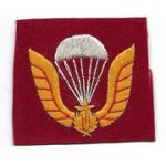 ARVN / South Vietnamese Army Airborne Beret Badge