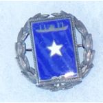 WWII US Maritime Service / Merchant Marine Son In Service Pin