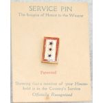 WWI Or WWII New Old Stock Three Star Son In Service Patriotic / Sweetheart Pin