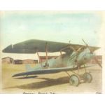 WWI German Pfalz DIIIA Colorized Biplane Photo