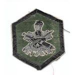 South Vietnamese Regional Forces Patch