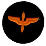 WWII AAF Air Cadets Black Felt  Background Patch