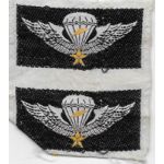 South Vietnamese Army / ARVN Airborne Master Airborne Jump Wings Uncut Set Of Two
