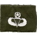 Vietnam Era US Army Master Airborne Jump Wing.