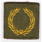 WWII Meritorious Unit Citation Patch