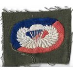 Vietnam 173rd Airborne Brigade Oval & Wing