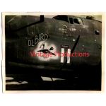 B-24 "Ol-Bird" Nose Art Photo