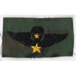 ARVN / South Vietnamese Special Forces Pattern Senior Airborne Wing On ERDL Background