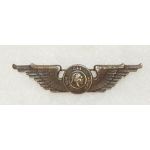 WWII CAA War Training Service Wing