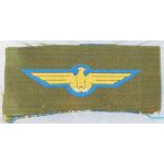 WWII Japanese Army Aviation Recon Wings