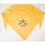 Vietnam B Troop 1st Squadron 4th Cavalry Scarf