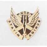 Vietnam 268th Aviation Battalion Beercan DI