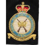 Royal Air Force Regiment Squadron Patch
