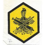 ARVN / South Vietnamese Regional Forces / Popular Forces Patch